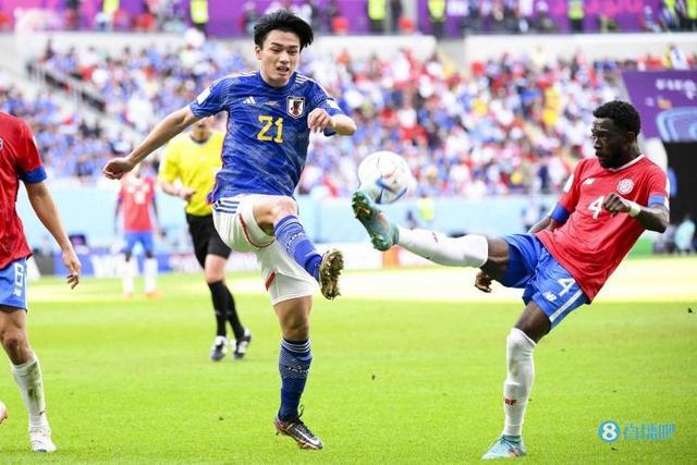 一直依赖年 一直依赖年