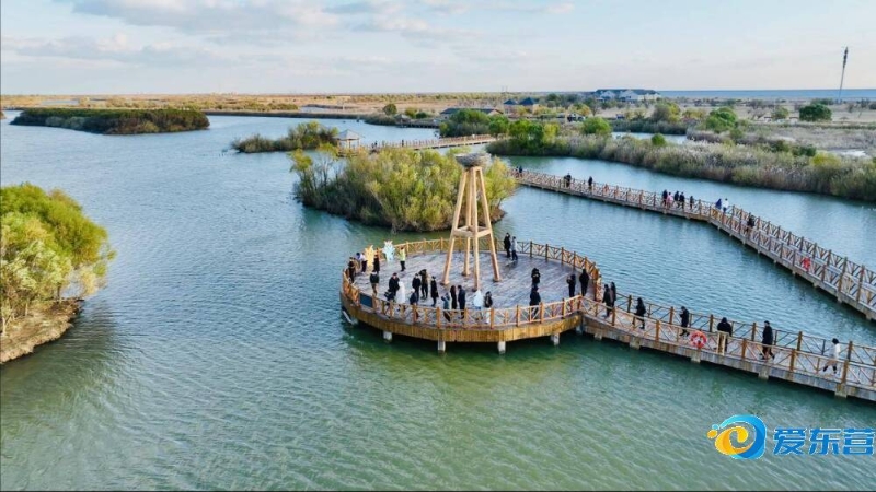 然而近几轮 然而近几轮